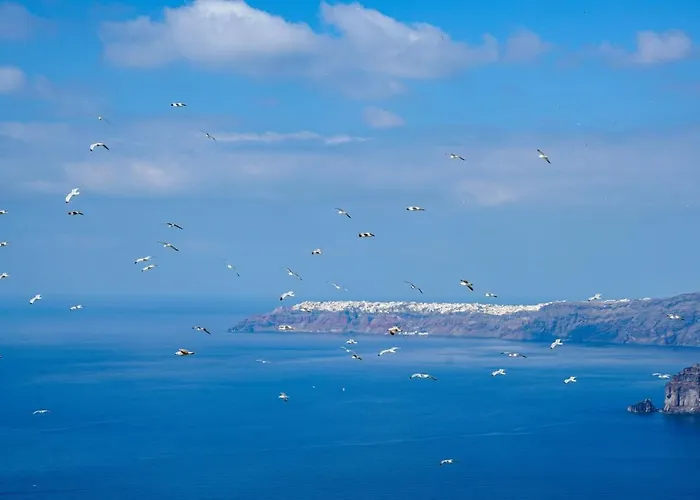 Апартаменты Archontiko Santorini Тира